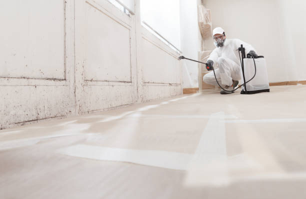 24/7 Emergency Basement Mold Remediation experts in Grantville, PA